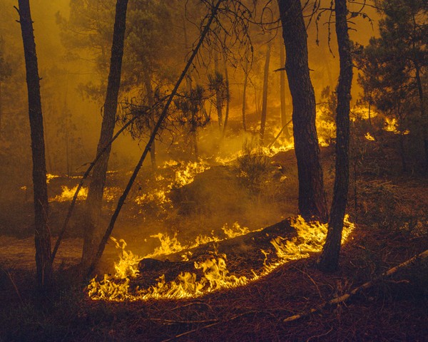 En el monte Cambeo —una antigua ruta de contrabando entre Chaves (Portugal) y O Rosal (Galicia)— las llamas dibujan
										de forma natural en el suelo un símbolo poderoso y ancestral: un círculo de fuego. Ese anillo incandescente evoca los círculos
										rituales de antiguas reuniones y aquelarres: una metáfora de la invocación de lo invisible, de la creación de un espacio
										interior frente al caos. En este territorio fronterizo, donde los caminos clandestinos fueron testigos del tráfico de café, tabaco
										o cualquier mercancía útil para el contrabando en tiempos de escasez, este círculo de fuego reaviva la memoria de pactos
										secretos entre los seres humanos y los elementos. Aquí, la devastación del incendio convive con la idea de un fuego que purifica
										y delimita: un círculo que separa y reúne, que protege y excluye. Para mí, esta imagen es importante por su potencia
										simbólica: no es solo un incendio forestal, sino una evocación de lo ancestral, una escritura sobre la tierra que nos recuerda
										que el fuego no solo consume, también nombra lo sagrado.