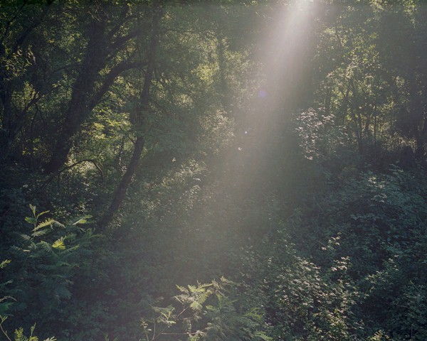 Un haz de luz se filtra entre los bosques de Arnoia, una metáfora simbólica de la profunda conexión entre lo sagrado y lo
										mágico que define la tierra gallega. Son tierras de superstición y de dualismos. Los contrastes siguen profundamente arraigados
										en Galicia: los inviernos fríos de lluvia y niebla dan paso a veranos abrasadores, en los que lugares como Ourense registran
										a menudo las temperaturas más altas de España. Un subsuelo de origen volcánico empuja el calor estival por encima
										de los 40 °C, mientras que en invierno los termómetros pueden descender hasta los –10 °C. Este contraste constante —frío
										y calor, niebla y sol, vegetación y fuego— moldea tanto el paisaje como a sus habitantes. Es también un reflejo del espíritu
										gallego: resistente y a la vez nostálgico, suspendido entre la belleza y la dureza, marcado por una silenciosa sensación de
										derrota y el peso de la soledad.