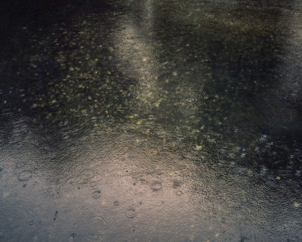 La superficie del río Támega, a su paso por la zona de Verín, refleja las gotas de lluvia que caen, simbolizando la abundancia
										de agua que define a Galicia. La región recibe una precipitación media anual de entre 1.000 y 1.500 mm, superando los
										2.000 mm en las zonas montañosas, lo que la convierte en una de las más lluviosas de Europa. Sin embargo, esta riqueza
										contrasta con numerosos desafíos ambientales. El Ulla, como muchos ríos gallegos, se enfrenta a amenazas derivadas de la
										contaminación agrícola e industrial. Además, proyectos como la fábrica de celulosa de Altri suponen riesgos adicionales
										debido a su elevado consumo de agua y a la posible alteración de los ecosistemas fluviales. A esto se suma el problema de
										los incendios forestales, alimentados por el abandono rural y la acumulación de matorral en los montes, lo que debilita aún
										más el equilibrio de la región. Este contraste entre abundancia hídrica y presiones ambientales pone de manifiesto la fragilidad
										de los ecosistemas gallegos.