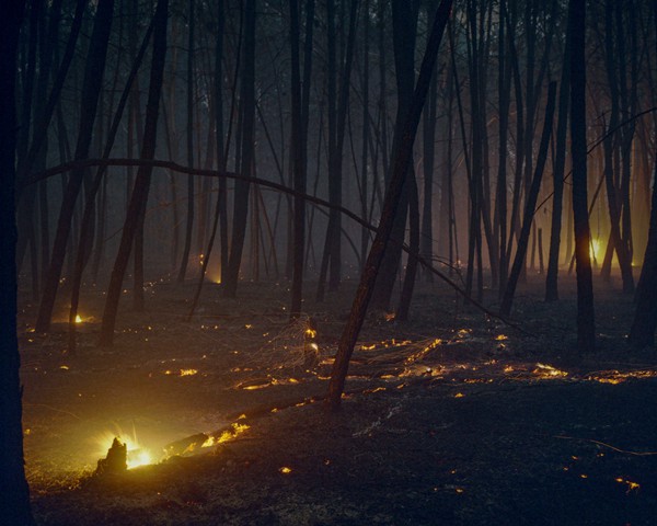 Vences —la aldea donde crecí con mis abuelos, mis primos y mis tíos— fue arrasada por el fuego este verano, después de
										más de cuarenta años sin que su bosque ardiera. Este incendio, a escasos metros de la casa de mi tío, obligó a evacuar a los
										vecinos. Cuando las llamas se apagaron, entré en el monte: el humo y las brasas desplegaban ante mí un paisaje que evocaba
										el Infierno de Dante, un lugar donde ver y respirar se volvía casi imposible.
										En 2025, Galicia ha visto arder más de 140.000 hectáreas —una cifra que supera las 140.000 y se acerca a las 143.000—, convirtiéndose
										en la peor oleada de incendios jamás registrada en la región. Para mí, las imágenes de lo que queda después del
										fuego son mucho más elocuentes que las de las propias llamas. La nostalgia es aún más intensa cuando se trata de los lugares
										donde jugué de niño, como en este caso.