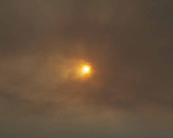 El sol queda oculto tras una nube de humo procedente de un incendio forestal. La región de Galicia sufre un número devastador
										de incendios, concentrando el 80 % de los incendios forestales de España. En 2021 se batió un récord con más de
										9.000 incendios registrados, que arrasaron más de 35.000 hectáreas. Estos desastres no solo devastan la biodiversidad, sino
										que también tienen consecuencias negativas para la calidad del aire y la salud de las comunidades locales.